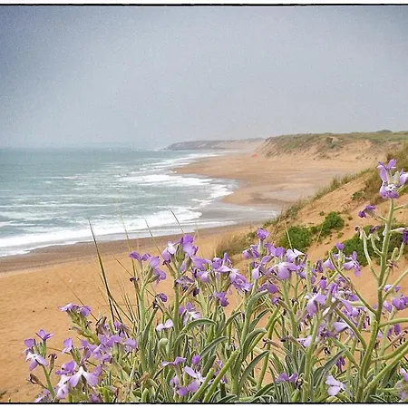 Le Pavillon 50m De La Grande *